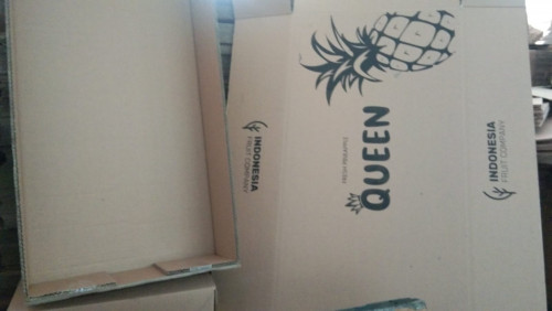 Pabrik Kardus Box buah nanas double